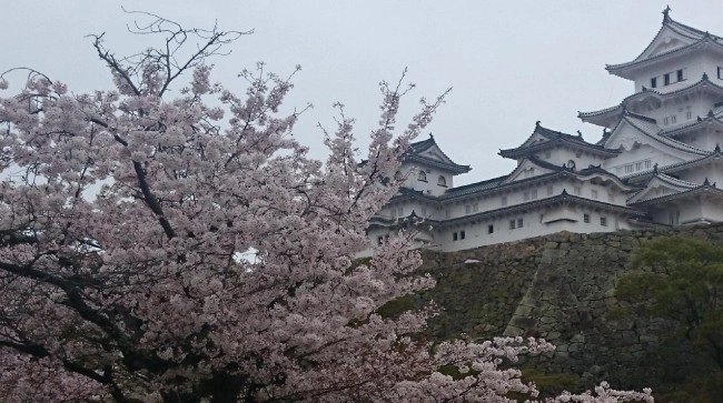 Himeji Shore Excursion — destination photograph