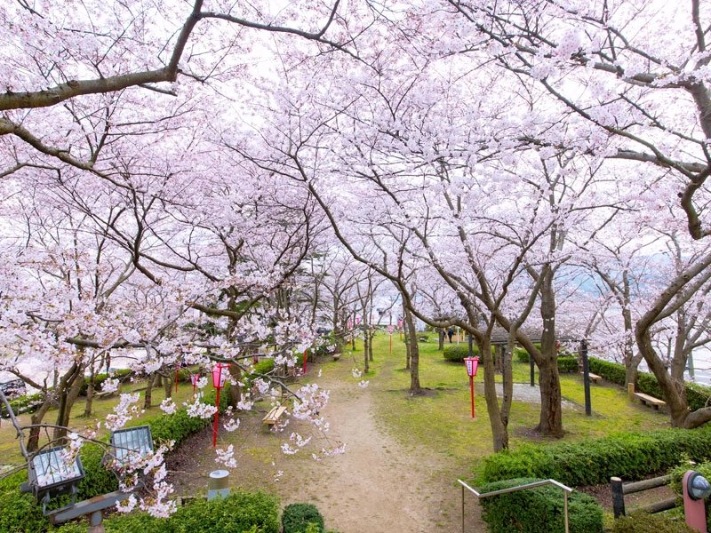 Sakaiminato Excursion — destination photograph