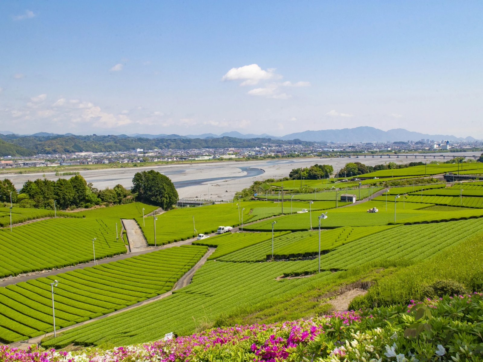 Omaezaki Shore Excursion — destination photograph