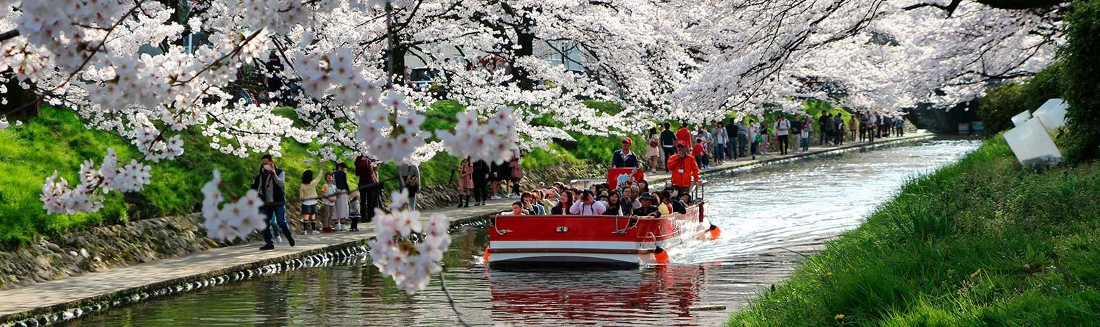 Toyama Shore Excursion — destination photograph