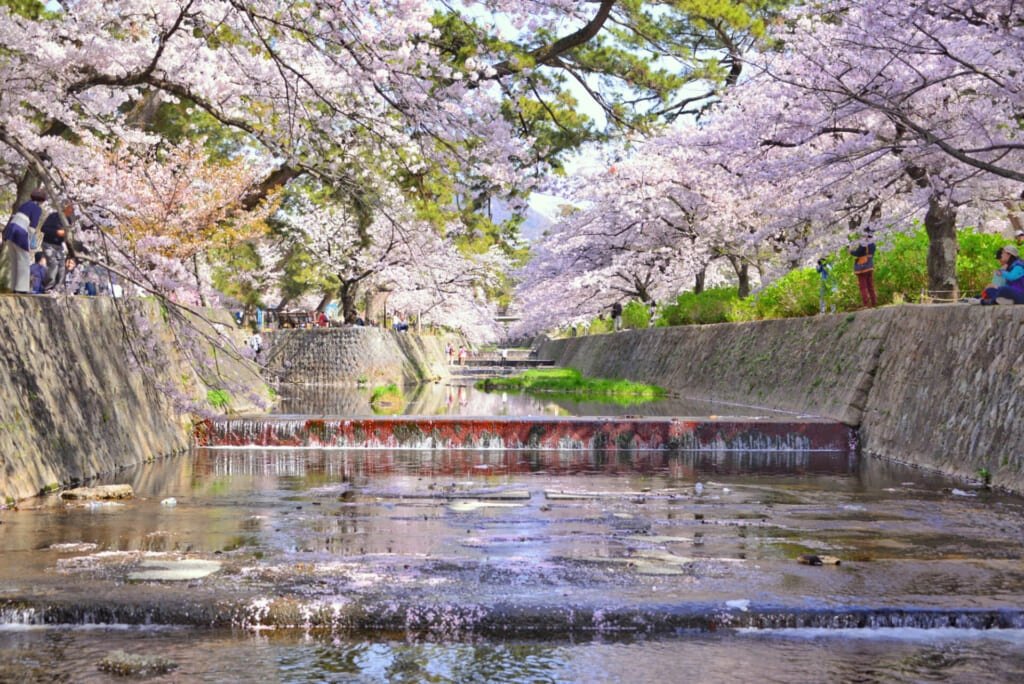 Himeji Shore Excursion — destination photograph