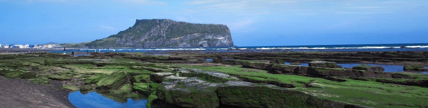Jeju Shore Excursion