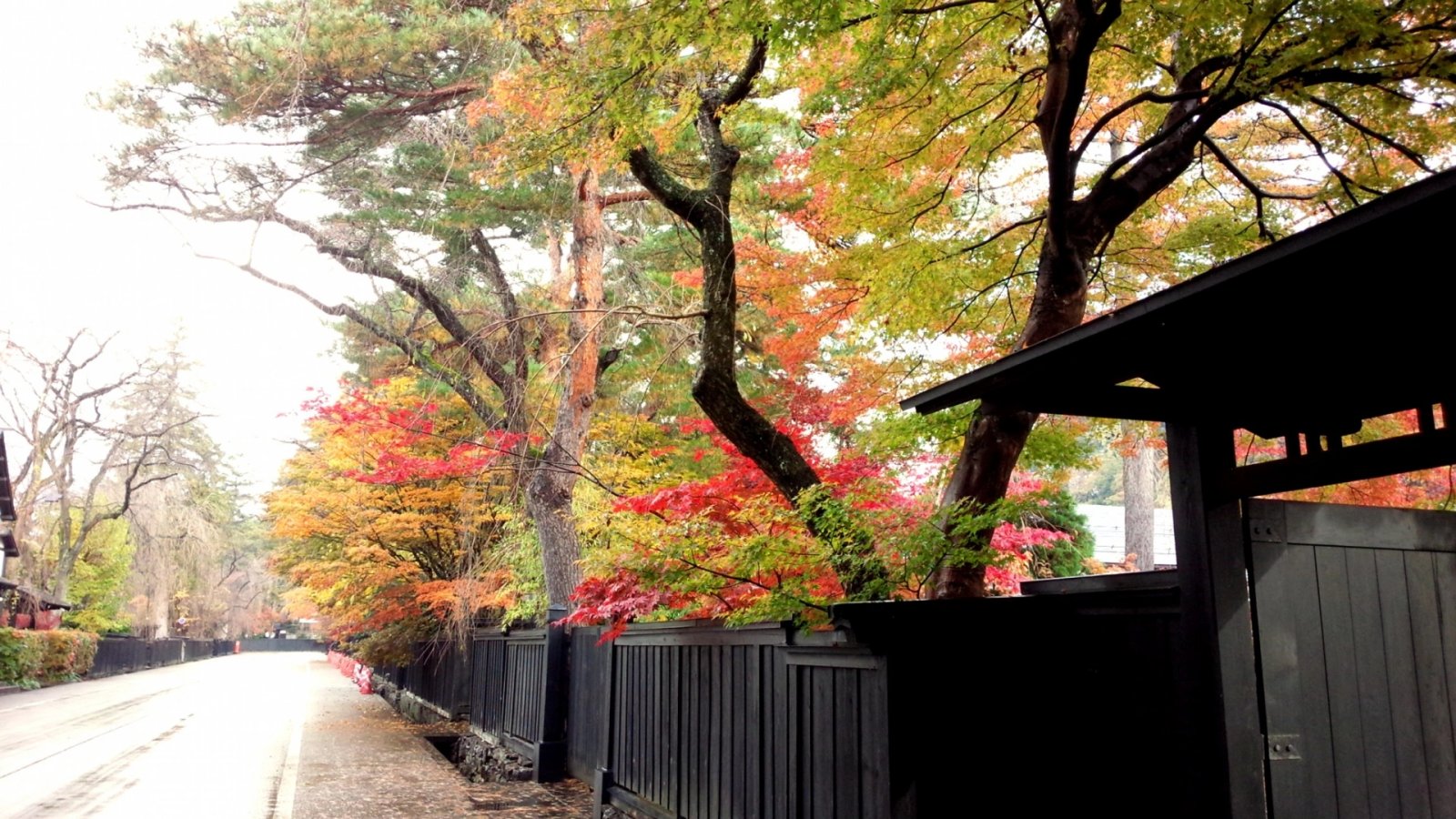 Akita Shore Excursion — destination photograph