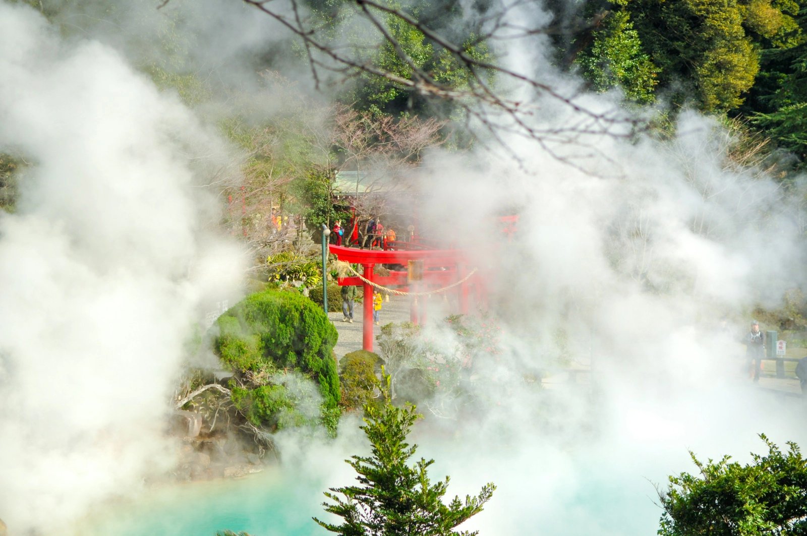 Beppu Shore Excursion — destination photograph