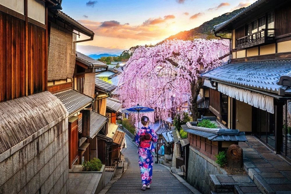 Tea Ceremony — destination photograph