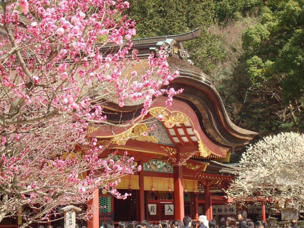 Fukuoka Shore Excursion