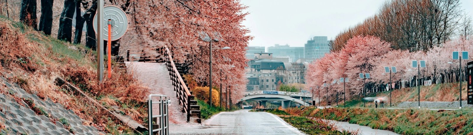 Incheon Seoul Excursion